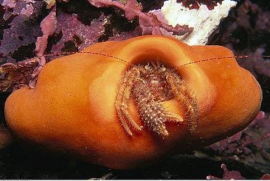 运营14年 Wii和3DS《使命召唤》服务器正式关闭