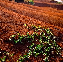 Steam Deck《巫师3》《控制》《毁灭战士：永恒》游玩展示 支持VR